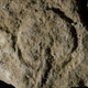 Illustration for article titled Why does the world's oldest cave art show a vagina?